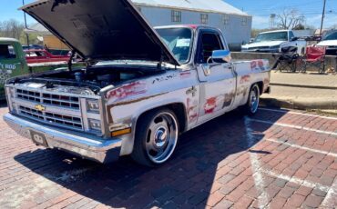 Chevrolet-Ck-pickup-12-ton-nominal-1986-8