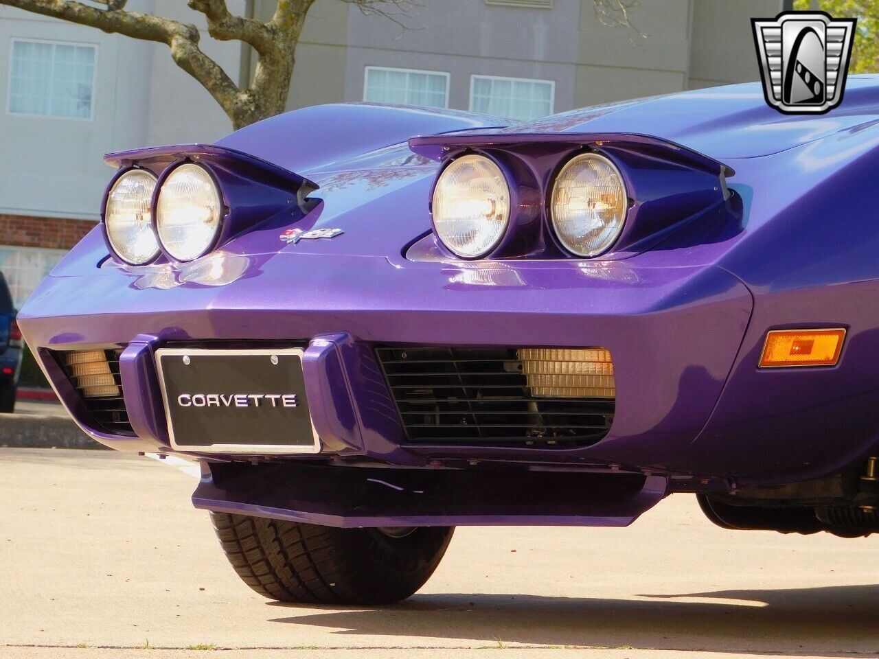 Chevrolet-Corvette-1977-Purple-Black-1260-9