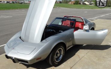 Chevrolet-Corvette-1977-Silver-Red-62385-11