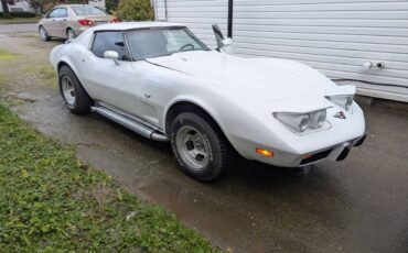 Chevrolet-Corvette-1977-white-157715-2