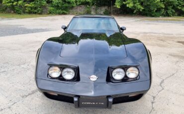 Chevrolet-Corvette-1978-14