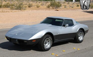 Chevrolet-Corvette-1978-4