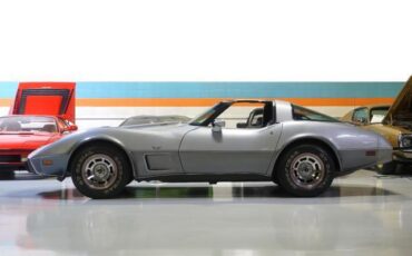 Chevrolet-Corvette-1978-Silver-Black-46917-13