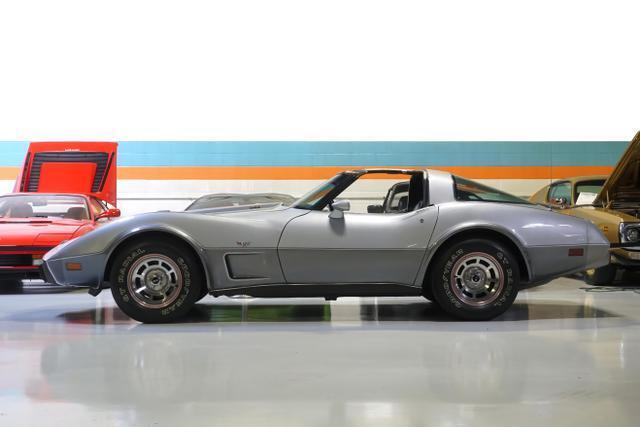 Chevrolet-Corvette-1978-Silver-Black-46917-13