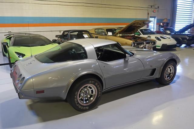 Chevrolet-Corvette-1978-Silver-Black-46917-16