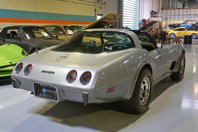 Chevrolet-Corvette-1978-Silver-Black-46917-18