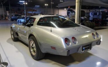 Chevrolet-Corvette-1978-Silver-Black-46917-20