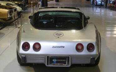 Chevrolet-Corvette-1978-Silver-Black-46917-23