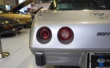 Chevrolet-Corvette-1978-Silver-Black-46917-25