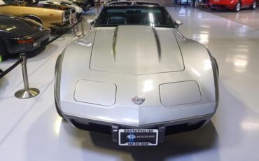 Chevrolet-Corvette-1978-Silver-Black-46917-7