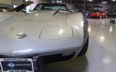 Chevrolet-Corvette-1978-Silver-Black-46917-9