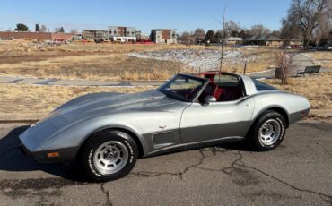 Chevrolet-Corvette-1978-Silver-Red-123292-10