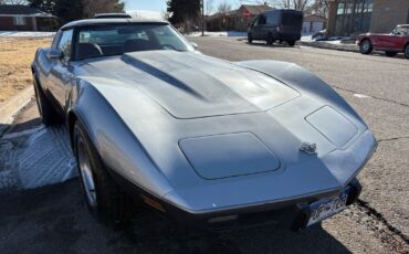 Chevrolet-Corvette-1978-Silver-Red-123292-11