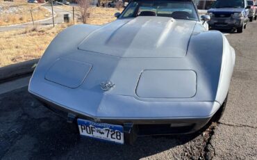 Chevrolet-Corvette-1978-Silver-Red-123292-13