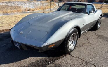 Chevrolet-Corvette-1978-Silver-Red-123292-15