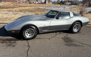 Chevrolet-Corvette-1978-Silver-Red-123292-16