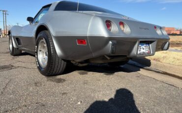 Chevrolet-Corvette-1978-Silver-Red-123292-19