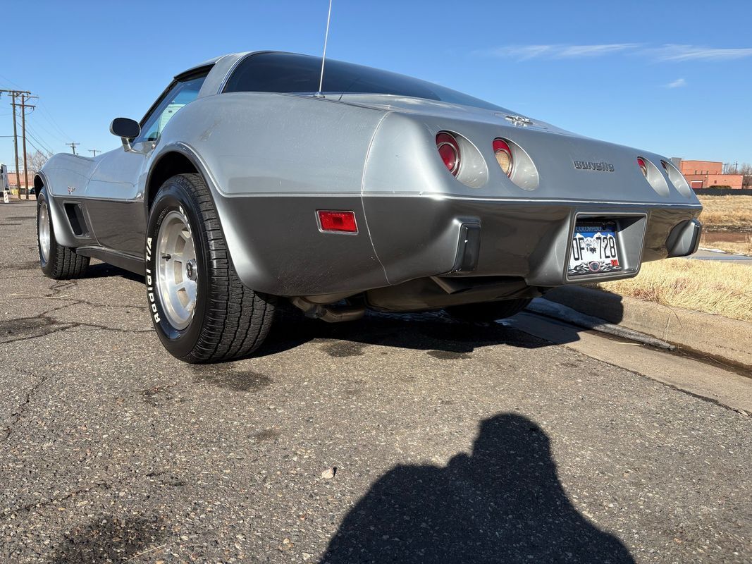 Chevrolet-Corvette-1978-Silver-Red-123292-19