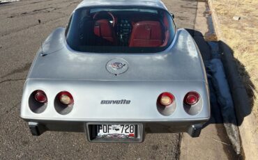 Chevrolet-Corvette-1978-Silver-Red-123292-24