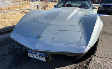 Chevrolet-Corvette-1978-Silver-Red-123292-25