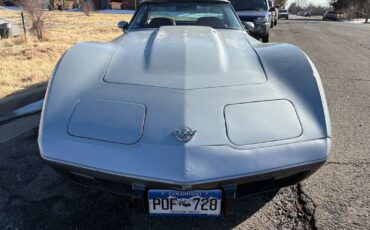 Chevrolet-Corvette-1978-Silver-Red-123292-26