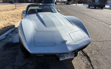 Chevrolet-Corvette-1978-Silver-Red-123292-29