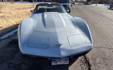 Chevrolet-Corvette-1978-Silver-Red-123292-33