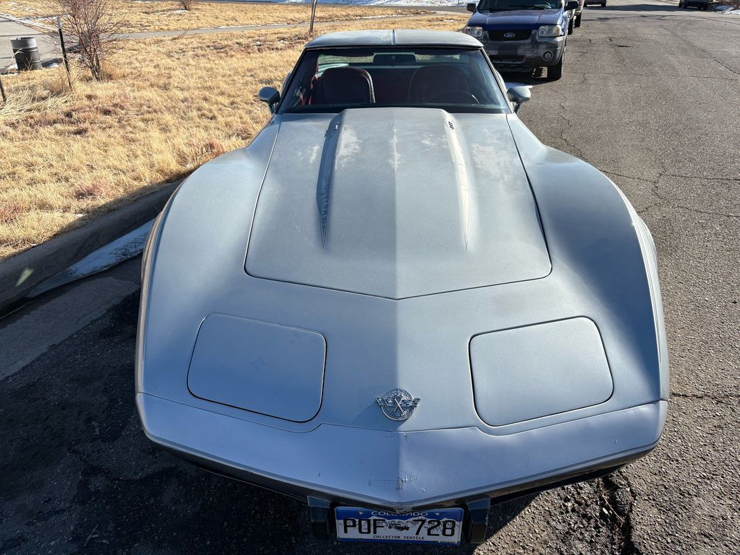 Chevrolet-Corvette-1978-Silver-Red-123292-6