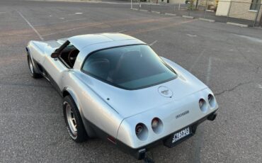 Chevrolet-Corvette-1978-silver-131966-3