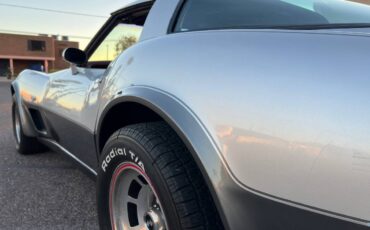 Chevrolet-Corvette-1978-silver-131966-7