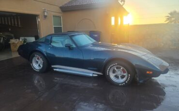 Chevrolet-Corvette-1979-141622