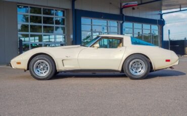 Chevrolet-Corvette-1979-Gold-Tan-42998-10