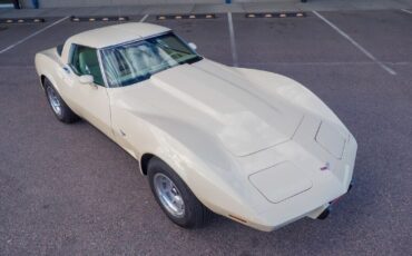 Chevrolet-Corvette-1979-Gold-Tan-42998-11