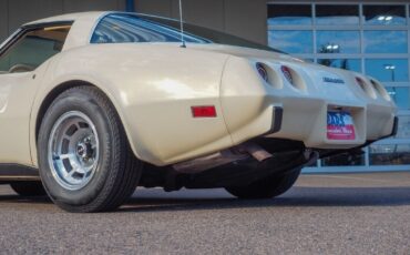 Chevrolet-Corvette-1979-Gold-Tan-42998-4