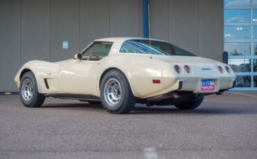 Chevrolet-Corvette-1979-Gold-Tan-42998-6