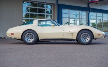 Chevrolet-Corvette-1979-Gold-Tan-42998-9