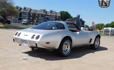 Chevrolet-Corvette-1979-Silver-Red-87906-5