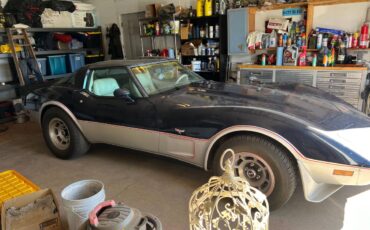 Chevrolet-Corvette-1979-blue-117482-2