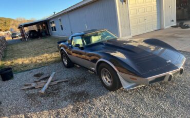 Chevrolet-Corvette-1979-blue-117482-3