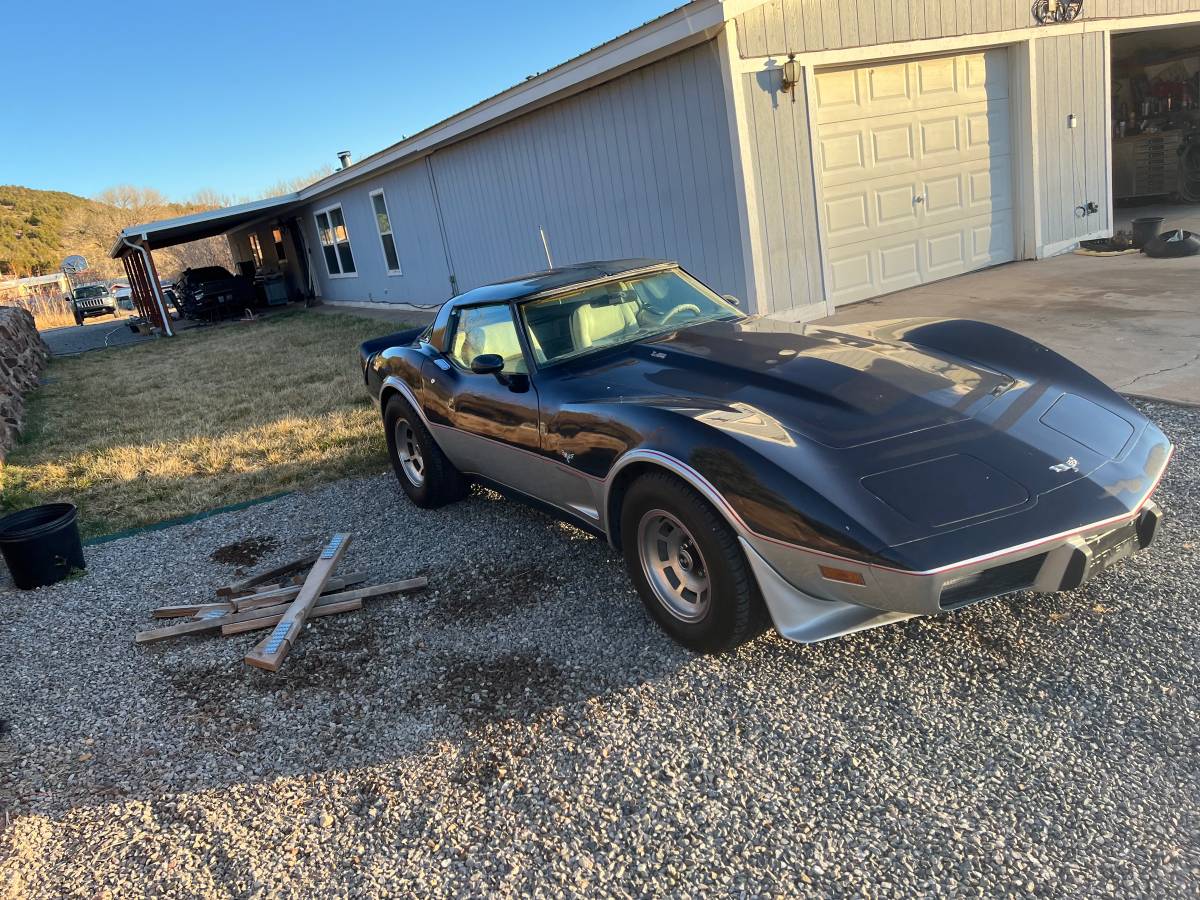 Chevrolet-Corvette-1979-blue-117482-3