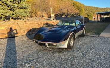 Chevrolet-Corvette-1979-blue-117482-4