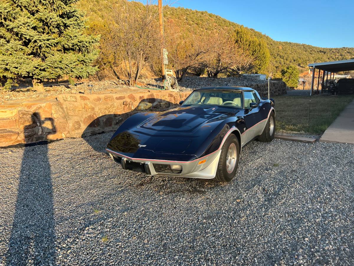 Chevrolet-Corvette-1979-blue-117482-4