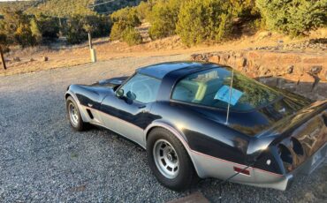 Chevrolet-Corvette-1979-blue-117482-5