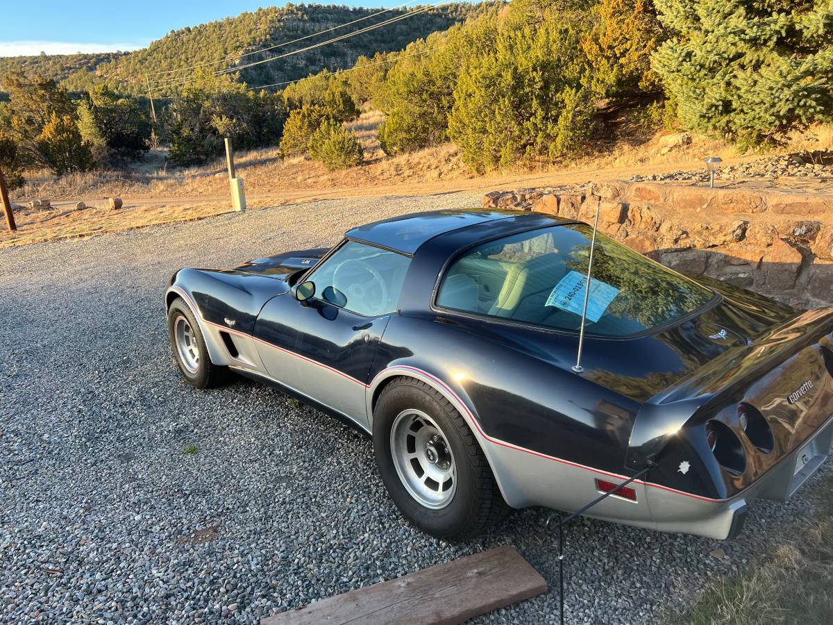 Chevrolet-Corvette-1979-blue-117482-5