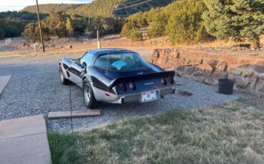 Chevrolet-Corvette-1979-blue-117482-6