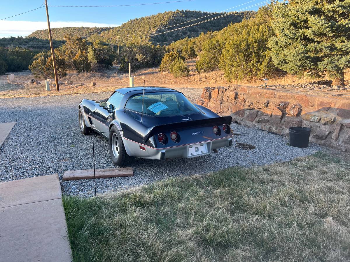 Chevrolet-Corvette-1979-blue-117482-6