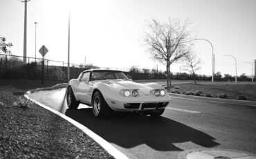 Chevrolet-Corvette-1979-blue-93068-19