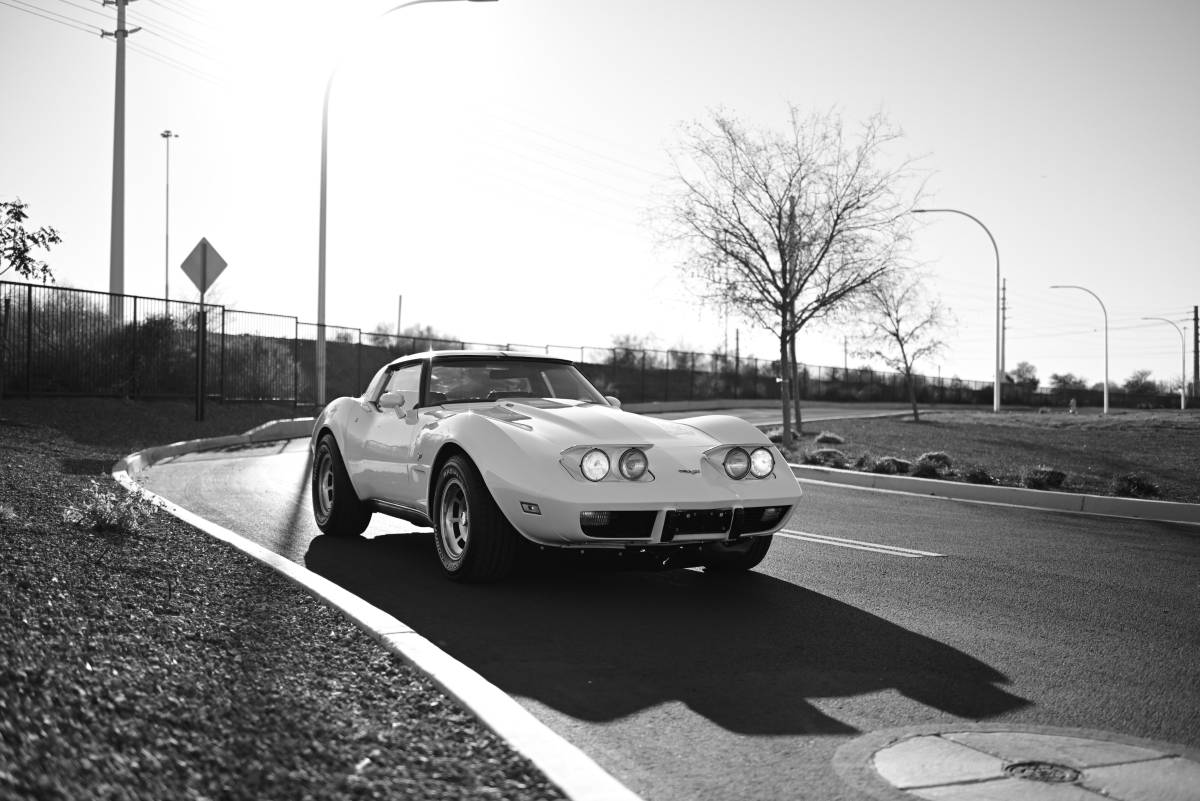 Chevrolet-Corvette-1979-blue-93068-19