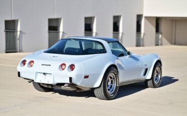 Chevrolet-Corvette-1979-blue-93068-3