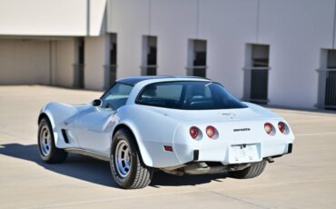 Chevrolet-Corvette-1979-blue-93068-5